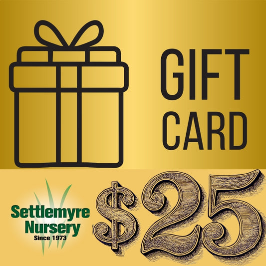 Gift Card $25