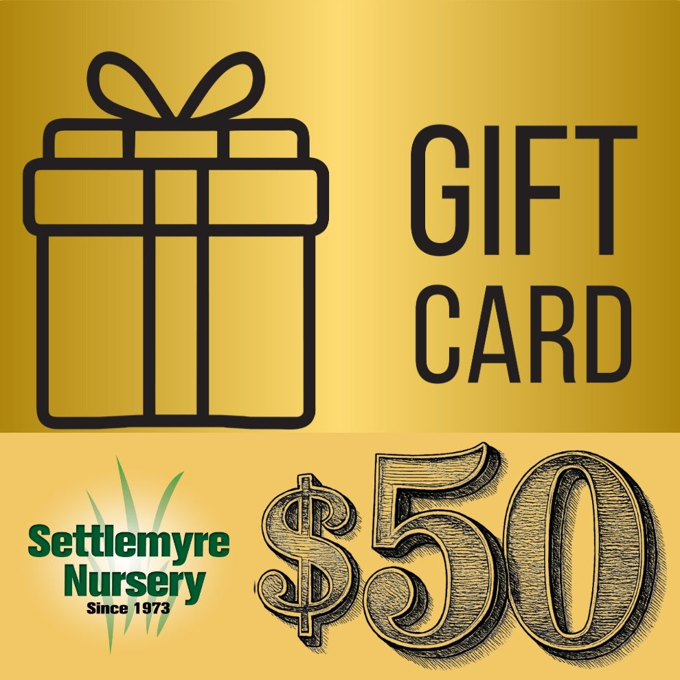 Gift Card $50